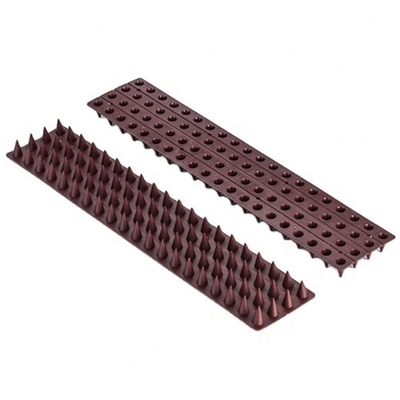 Good price Plastic Transparent Base Stainless Bird Spikes Pest Type Birds Long-Lasting Repellent online