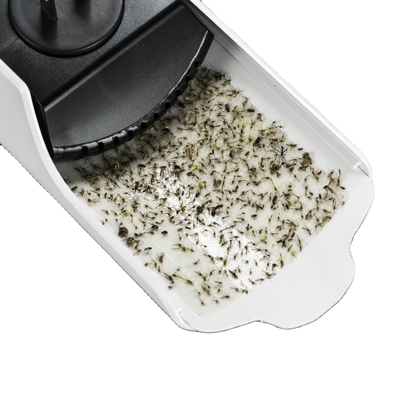 Good price Convenient and Environmentally Friendly 480 Hours Usage Electronic Insects Killer Sticky Glue Paper Mosquito Lamp Wall online