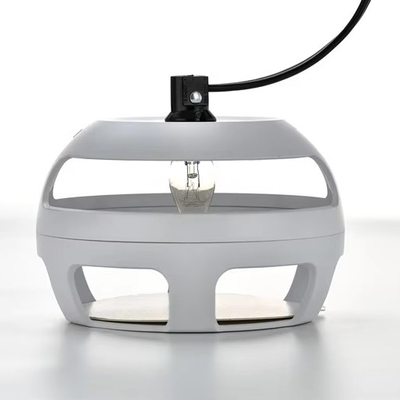 Good price Solid State 320g Flea Bed Bugs Moth Flying Insect Termite Trap Killer Bulb and Sticky Pad online