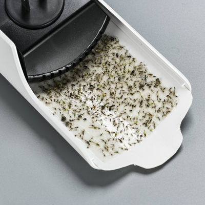 Good price Effective Pest Control Moths Mosquito Lamp with Glue Pad and Electrical Power Source Combo online